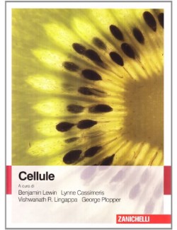 Cellule  - Lewin