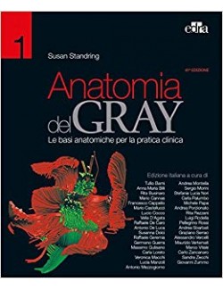 Anatomia del Gray. I fondamenti - Drake Vogl