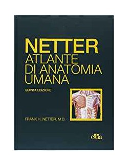 Atlante anatomia umana - Netter